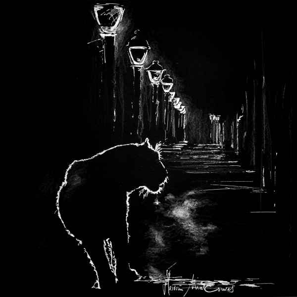 sa 29 Heidrun MalComes LION IN THE NIGHT